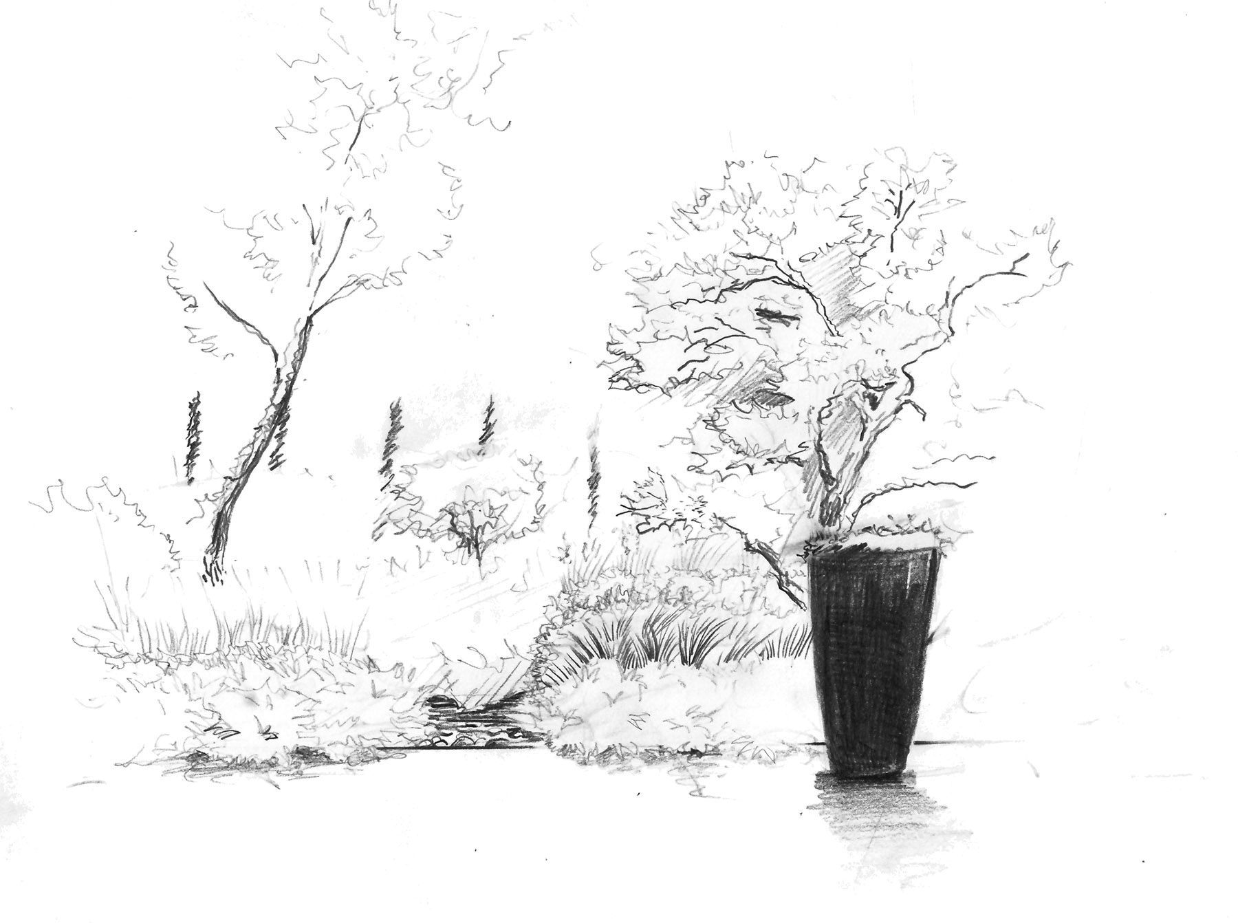 Croquis jardin design Parc-Saint-Tropez Olivia Bochet
