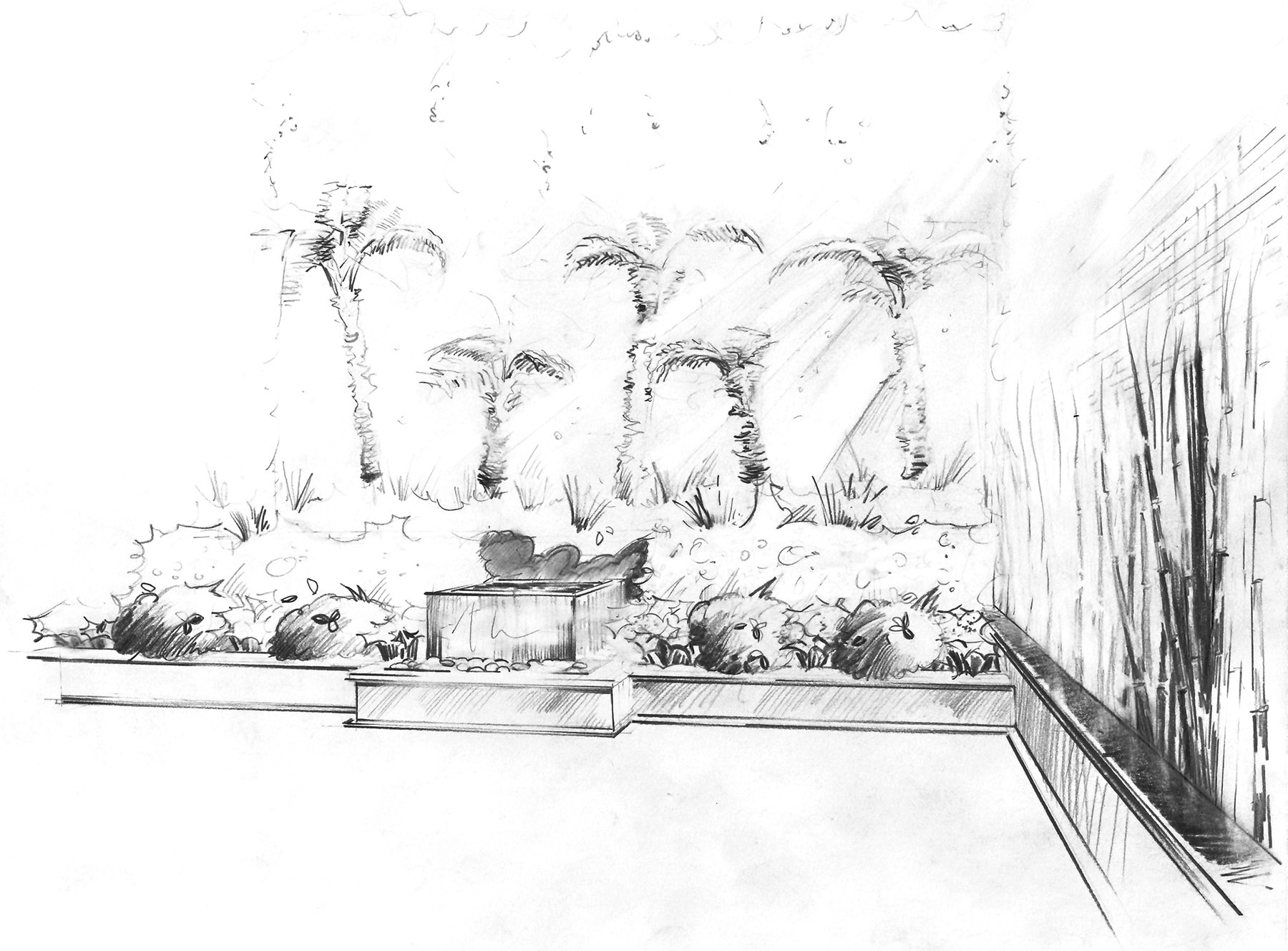 Croquis jardin exotique paysagiste Paris Olivia Bochet