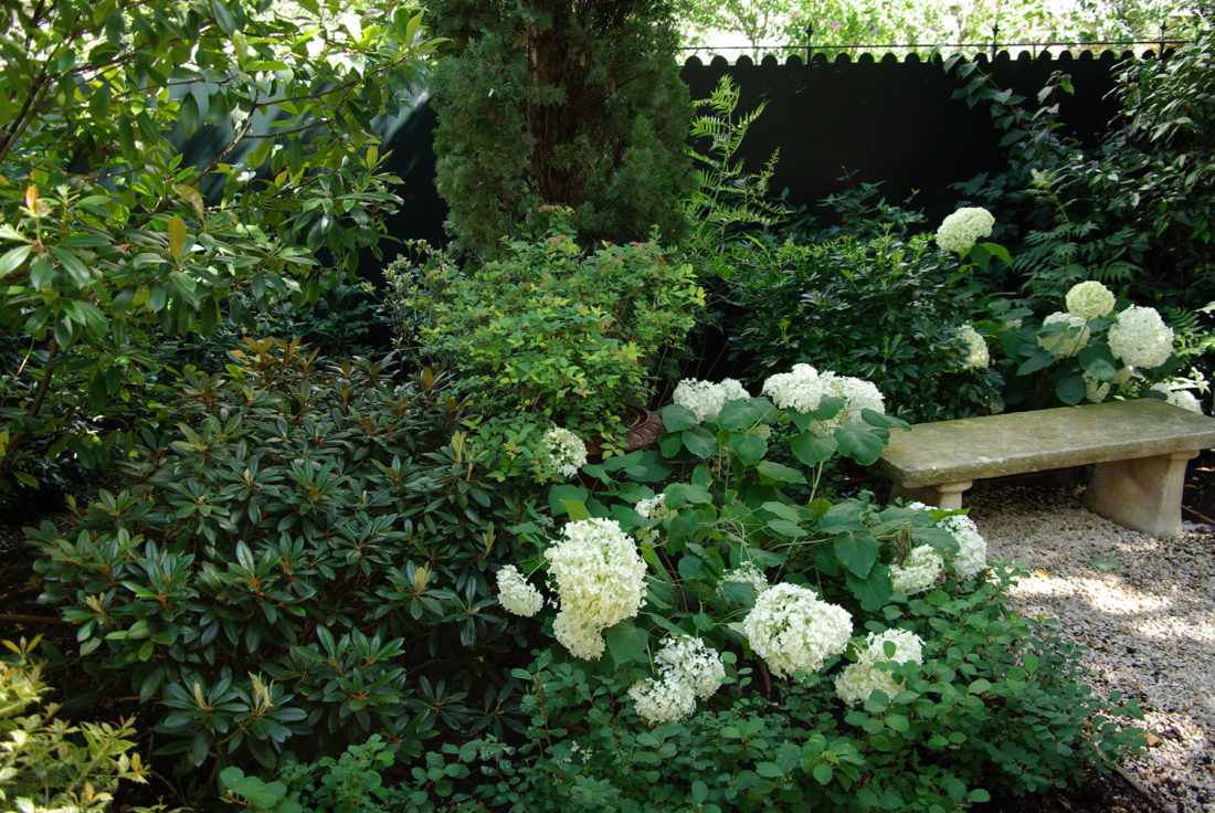 Jardin anglais paysagiste Neuilly Olivia Bochet