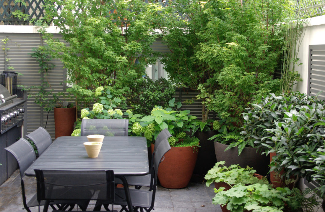 Patio design luxe paysagiste Neuilly Olivia Bochet