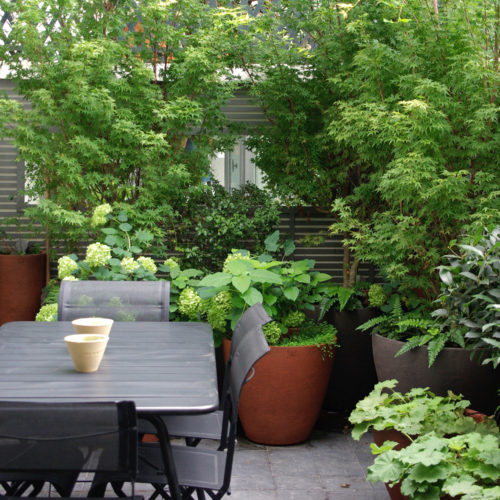 Patio design luxe paysagiste Neuilly Olivia Bochet