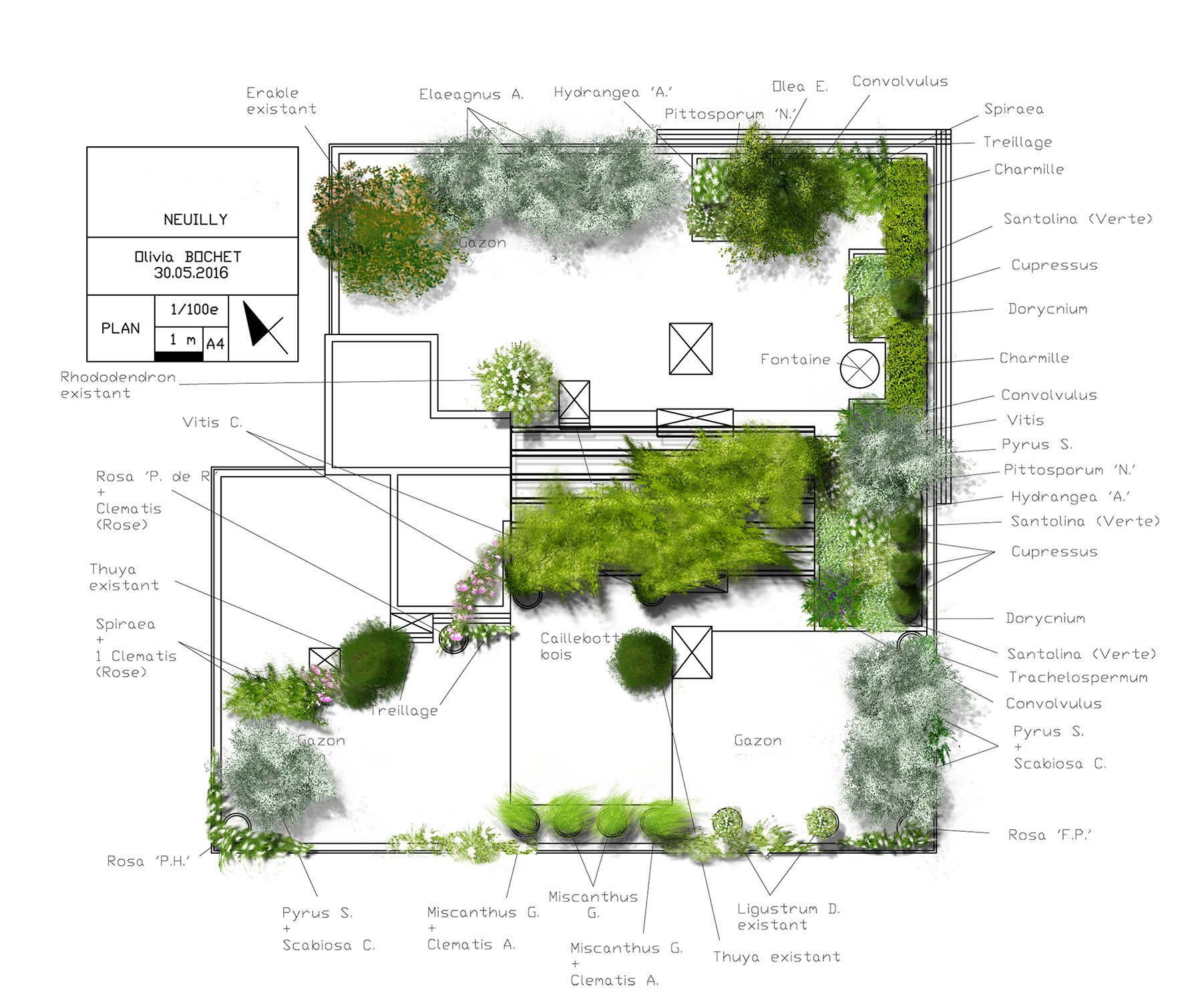 Plan terrasse prestige paysagiste Olivia Bochet