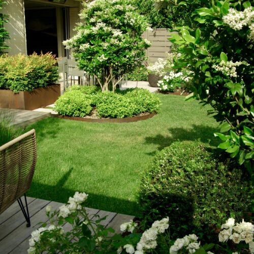 Aménagement jardin design paysagiste Neuilly Olivia Bochet