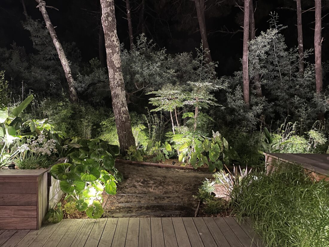 Eclairage Parc Arcachon paysagiste Olivia Bochet