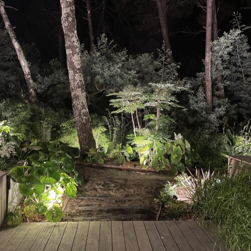 Eclairage Parc Arcachon paysagiste Olivia Bochet