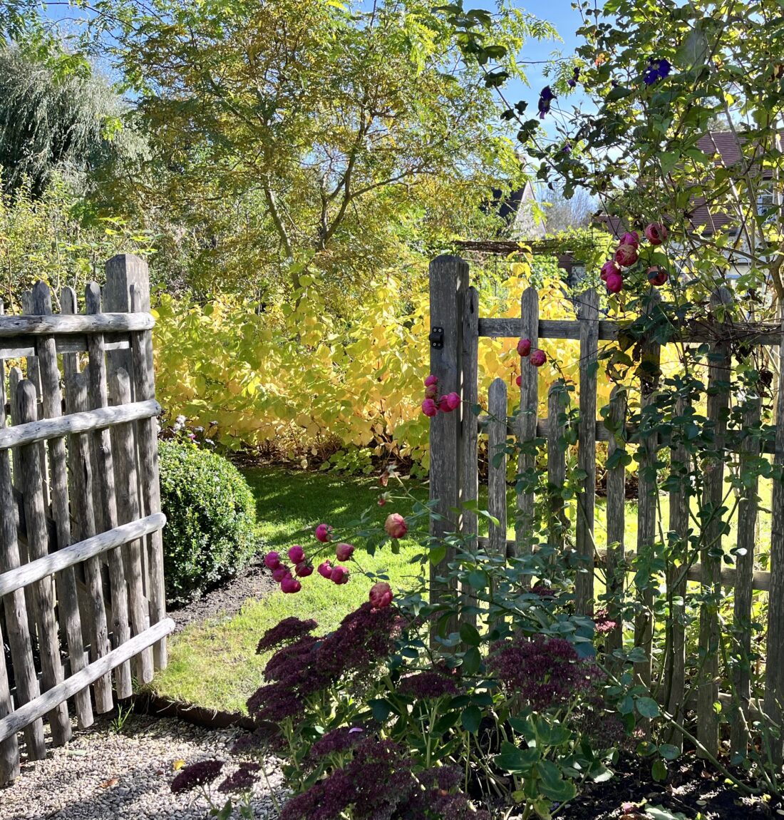Jardin bucolique champêtre paysagiste Olivia Bochet Yvelines