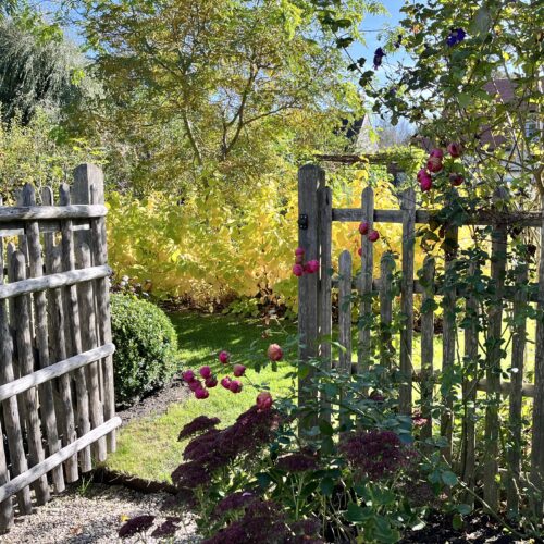 Jardin bucolique champêtre paysagiste Olivia Bochet Yvelines