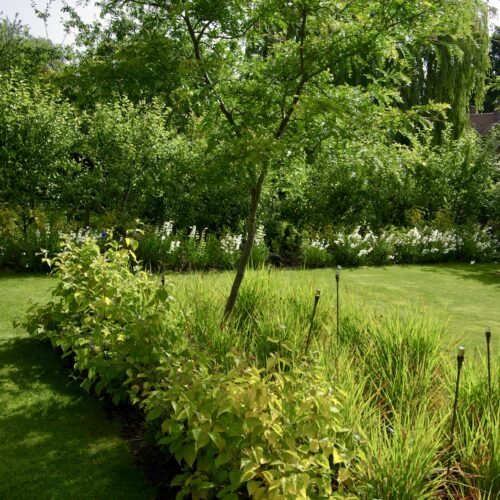 Jardin champêtre bucolique Olivia Bochet Normandie