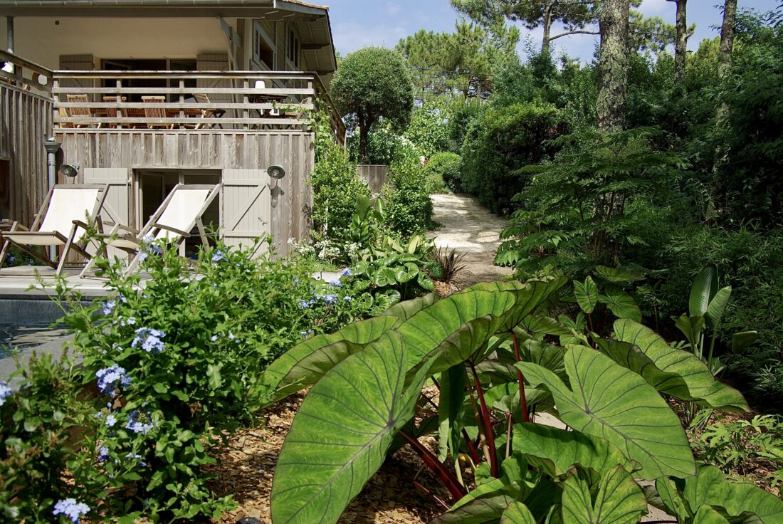 Jardin exotique Cap Ferret paysagiste Olivia Bochet