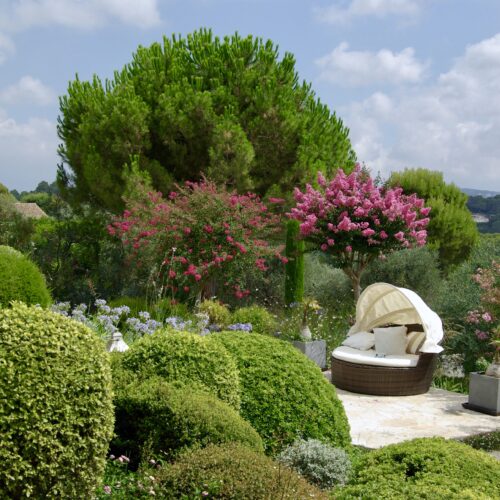 Parc design Cannes Saint Tropez paysagiste Olivia Bochet