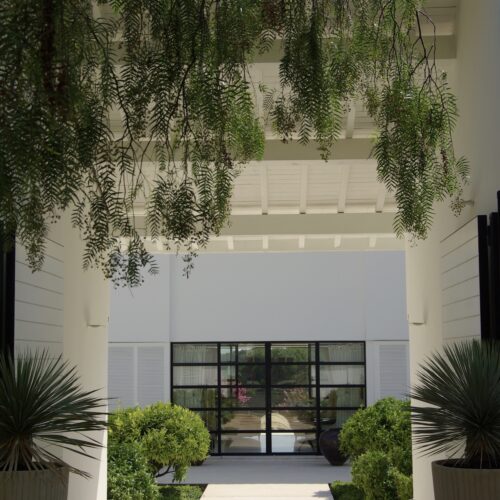 Patio parc design Cannes Saint Tropez paysagiste Olivia Bochet