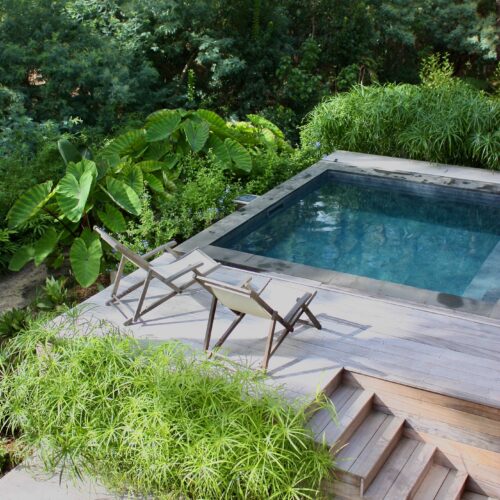 Piscine jardin exotique Cap Ferret Olivia Bochet