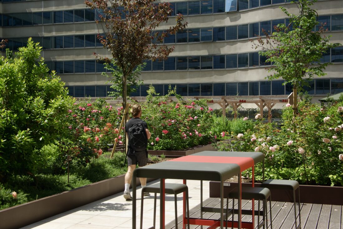 Terrasse corporate luxury rooftop paysagiste Olivia Bochet Paris