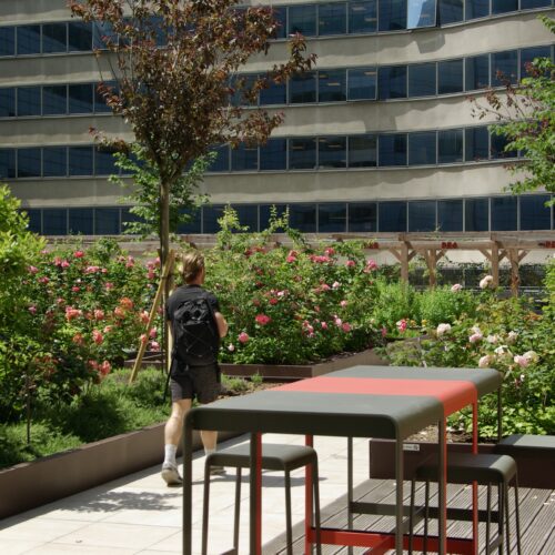 Terrasse corporate luxury rooftop paysagiste Olivia Bochet Paris