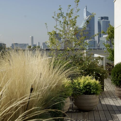 Terrasse design Paris paysagiste Olivia Bochet