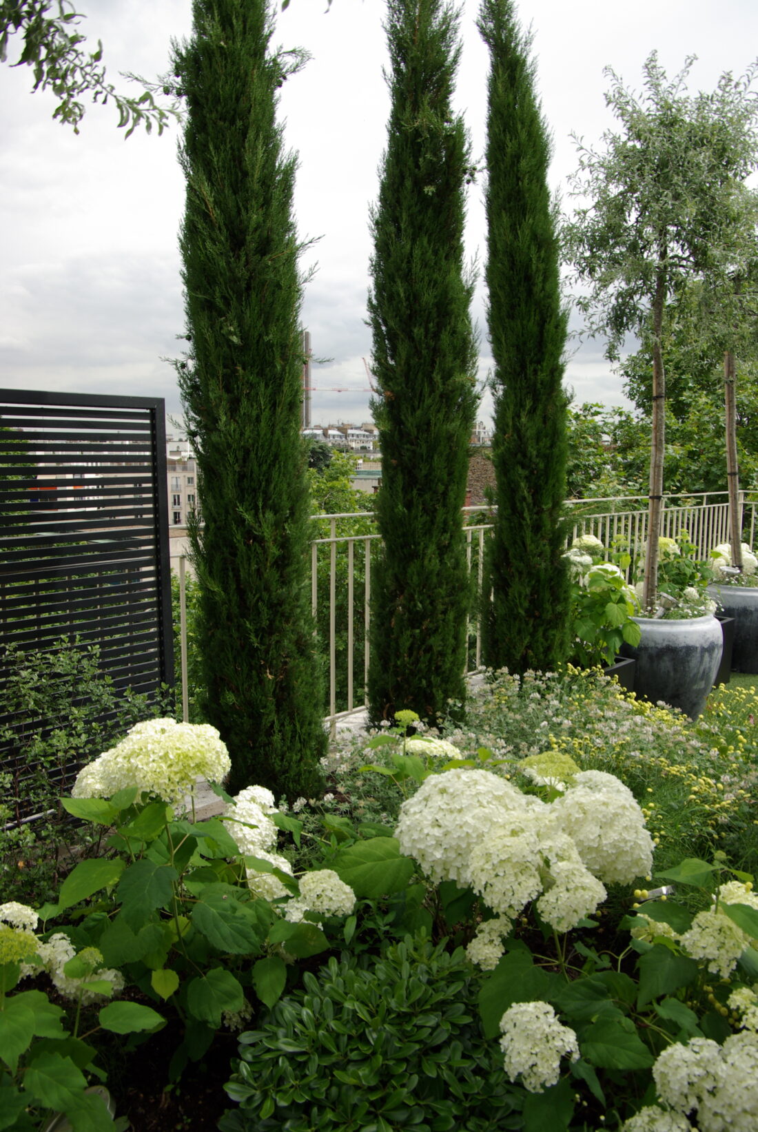 Terrasse méditerranéenne rooftop Paris paysagiste Olivia Bochet