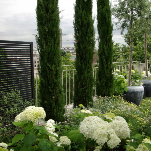 Terrasse méditerranéenne rooftop Paris paysagiste Olivia Bochet