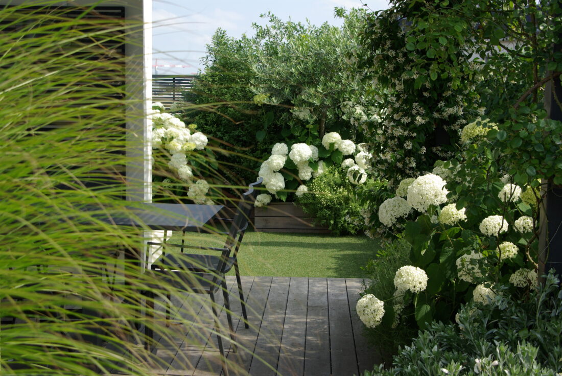 Terrasse urbaine jasmin et olivier Olivia Bochet