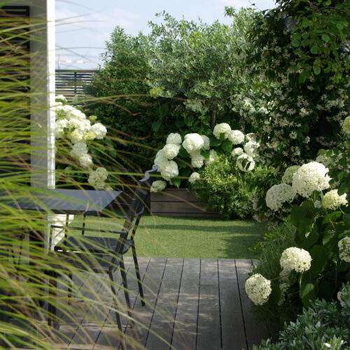 Terrasse urbaine jasmin et olivier Olivia Bochet